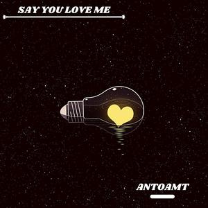 Say You Love Me