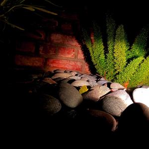 Pimp Lame (Explicit)