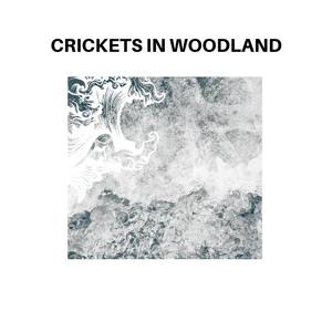 Crickets in Woodland