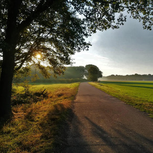 Summer Walk