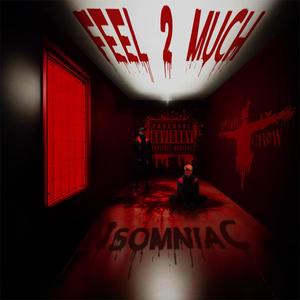 Feel 2 Much (feat. Zkeircrow) (Explicit)