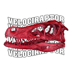 Velociraptor (feat. Scvrfvce) [Explicit]