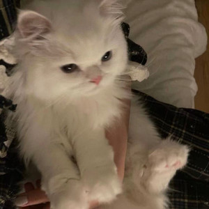 熟悉的世界（全是你的记号）氛围版