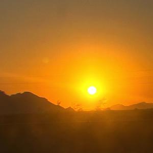 phoenix (Jude Kerr Remix)