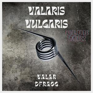 Valaris Vulgaris (Club Mix|Explicit)