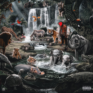 Declarative (Explicit)