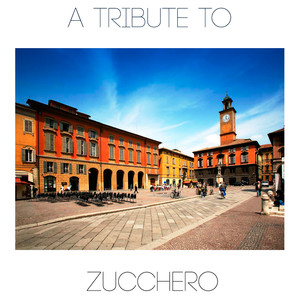 A tribute to zucchero