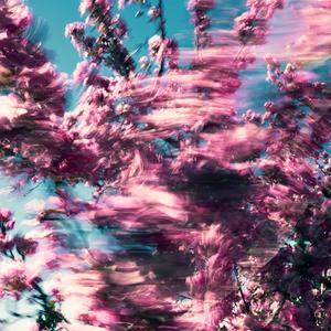 Don't Leave(feat. Mateo Centeno)