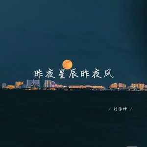 真正重要的东西眼睛是看不到的 (深情女生版)