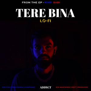 Tere Bina