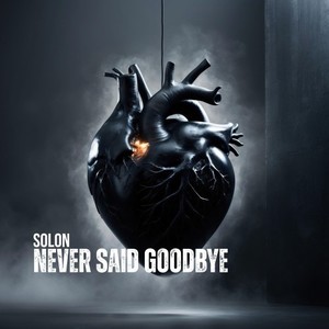 Never Said Goodbye (Radio Edit)