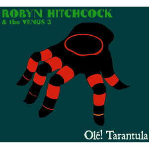 Olé! Tarantula