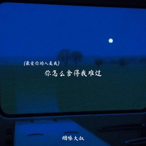 你怎么舍得我难过(最爱你的人是我)