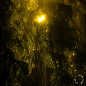 Selfish (feat. Lyss)