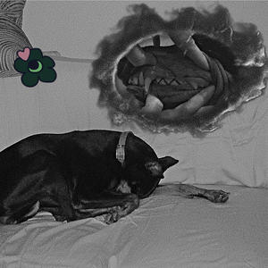 Liverspot (feat. $ Rich Money $ & hernbean5150) (Explicit)