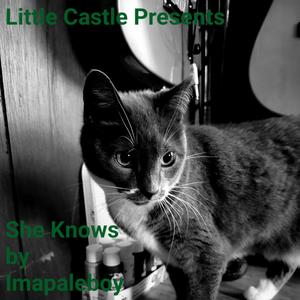 Jimmi The Premix (Explicit)