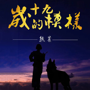 十九岁的模样