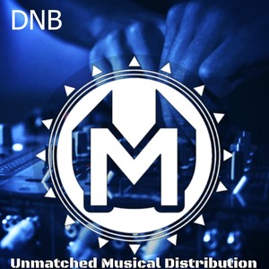 DNB 4