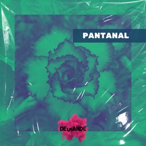 Pantanal (Bruno Mendoza Remix)
