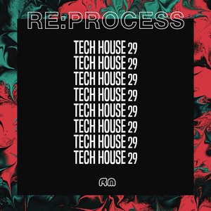 Re:Process - Tech House, Vol. 29