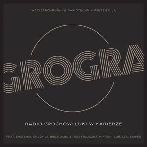 Radio Grochów - Luki w karierze