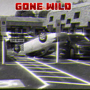 Gone Wild (feat. Bu$y) (Explicit)