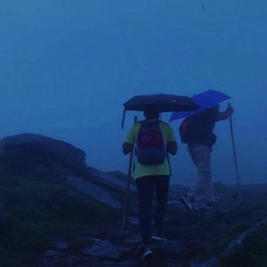 i need something to hold