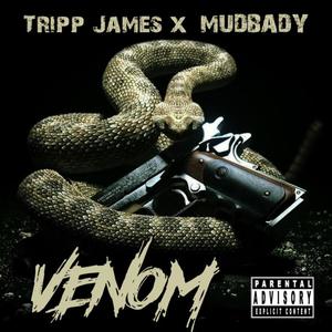Venom (feat. Mudbaby) (Explicit)
