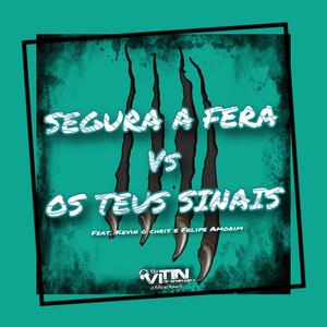 SEGURA A FERA VS OS TEUS SINAIS