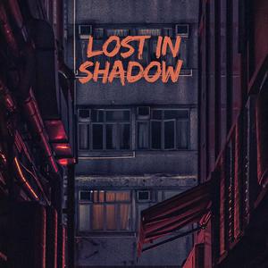 Lost in Shadow