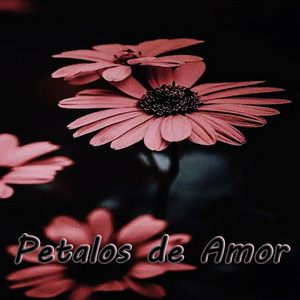 Petalos de Amor