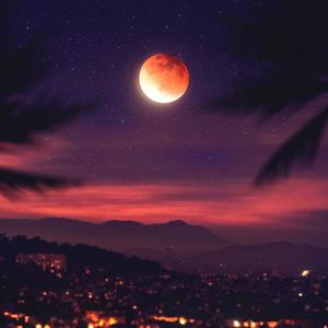 Last Night(feat. seul.)