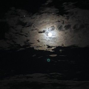 mamoru chibi (Explicit)