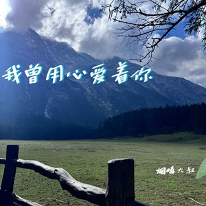 我曾用心爱着你