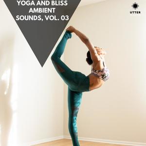 Yoga and Bliss Ambient Sounds, Vol. 03