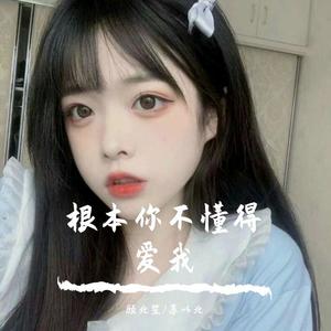 根本你不懂得爱我封面