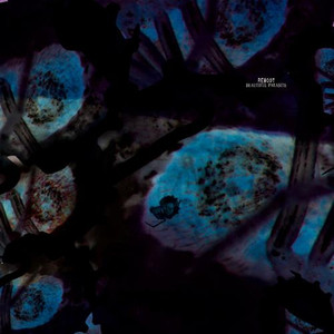Beautiful Parasite (Robert Dietz Infected Mix)