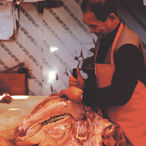 빌린 입 (借的口)