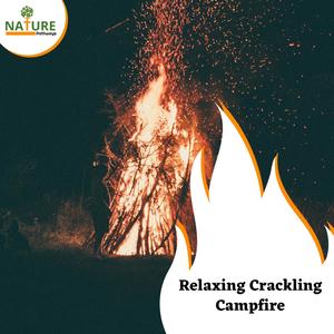 Relaxing Crackling Campfire