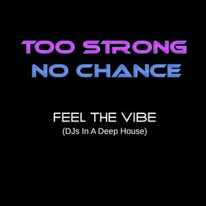 Feel the Vibe Djs in a Deep House