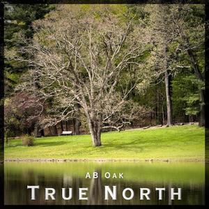 True North