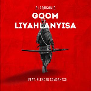 Gqom Liyahlanyisa (feat. Slender Somdantso)