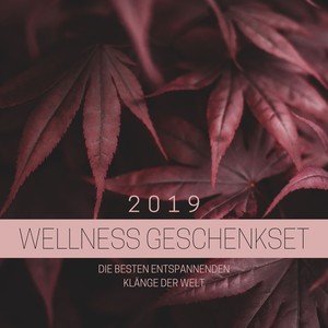 Wellness Geschenkset 2019: die besten entspannenden Klänge der Welt