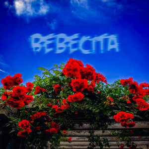 Bebecita