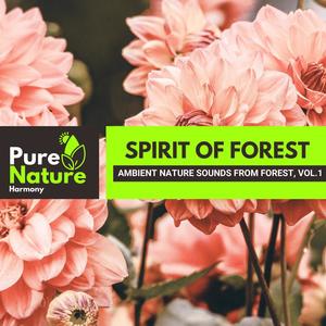 Spirit of Forest - Ambient Nature Sounds from Forest, Vol.1