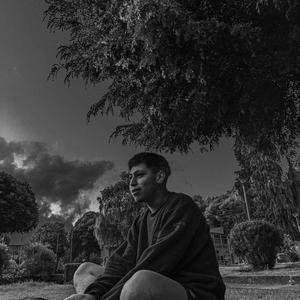 NEIQA (Remastered Version)