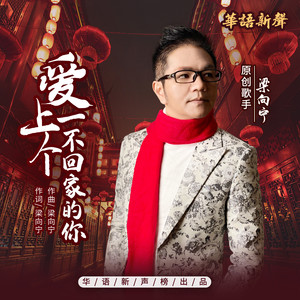 爱上一个不回家的你