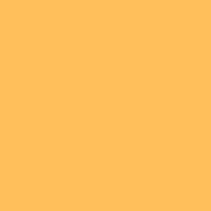 ULCER (Inst.)