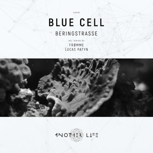 Beringstrasse (Lucas Patyn Remix)