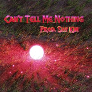 Can't Tell Me Nothing (Explicit)